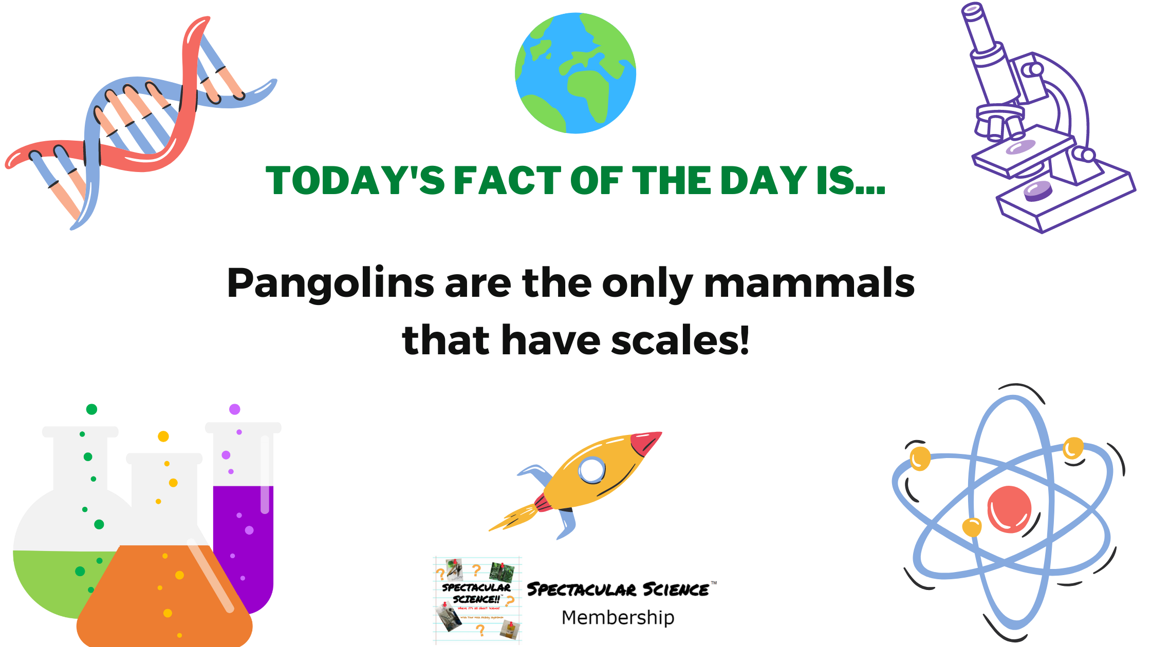 Fact of the Day Image November 4th