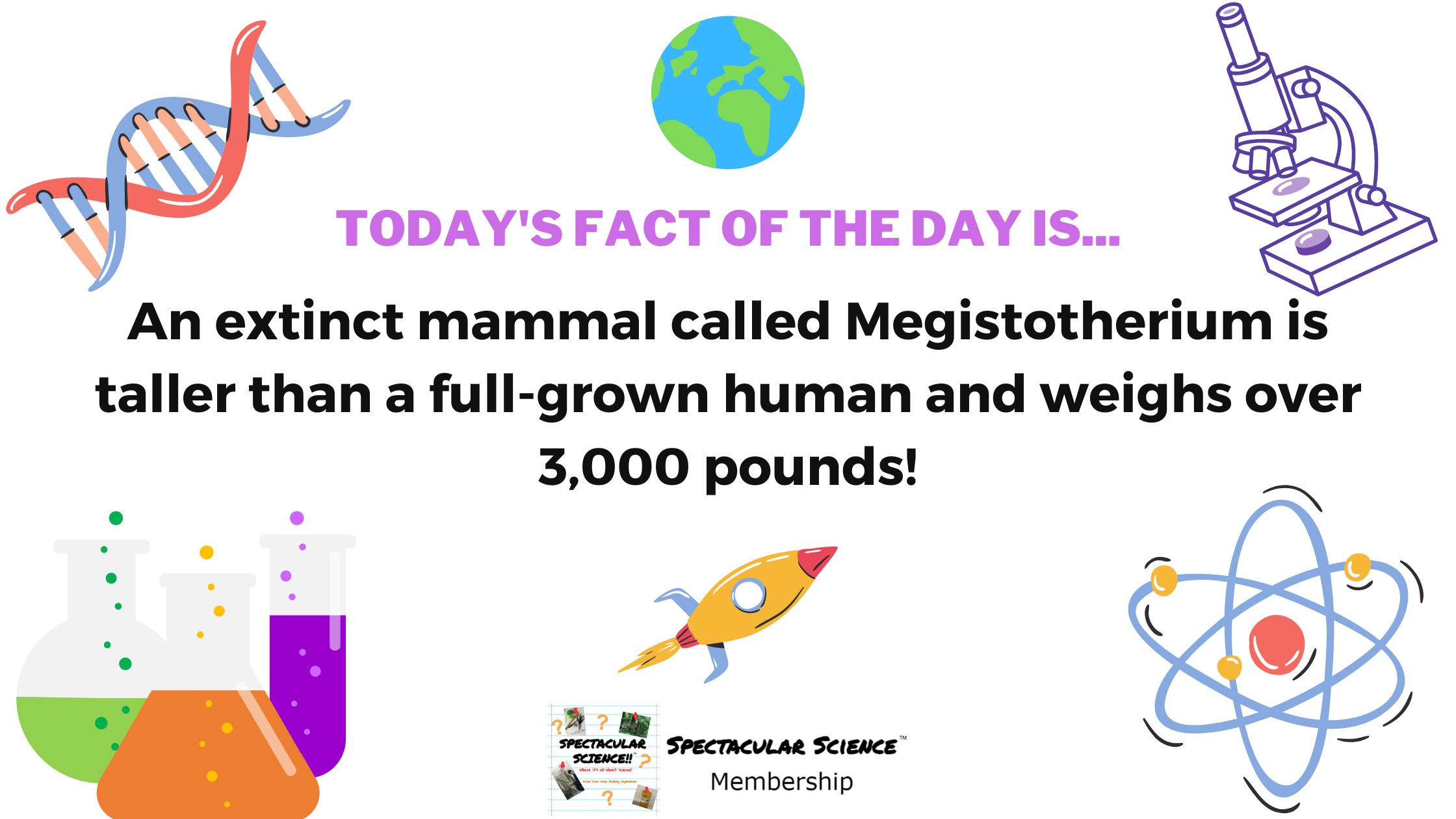 Fact of the Day Image November 7th