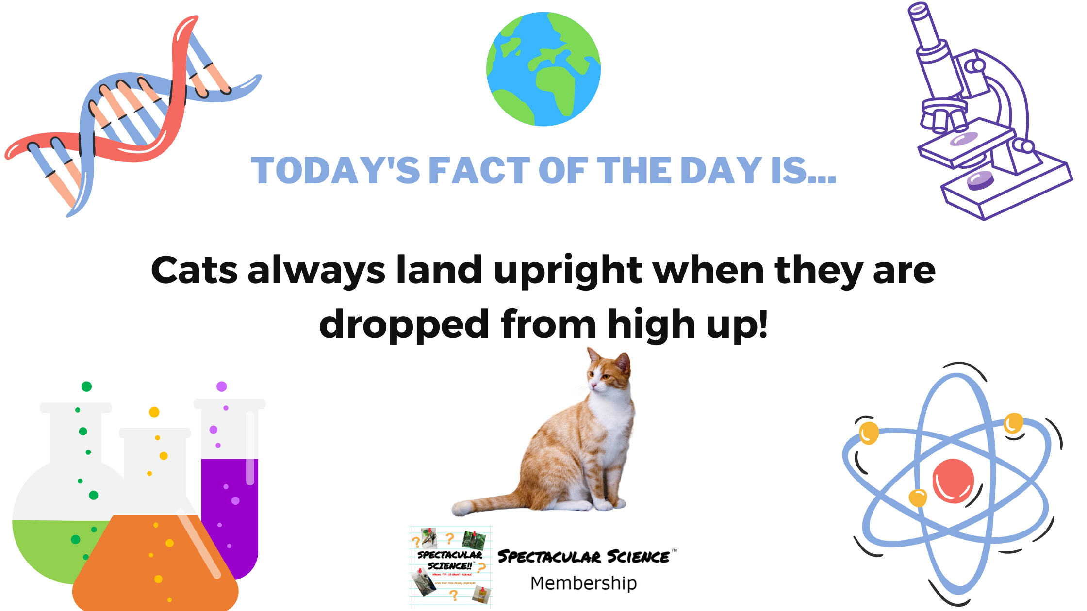 Fact of the Day Image October 11th