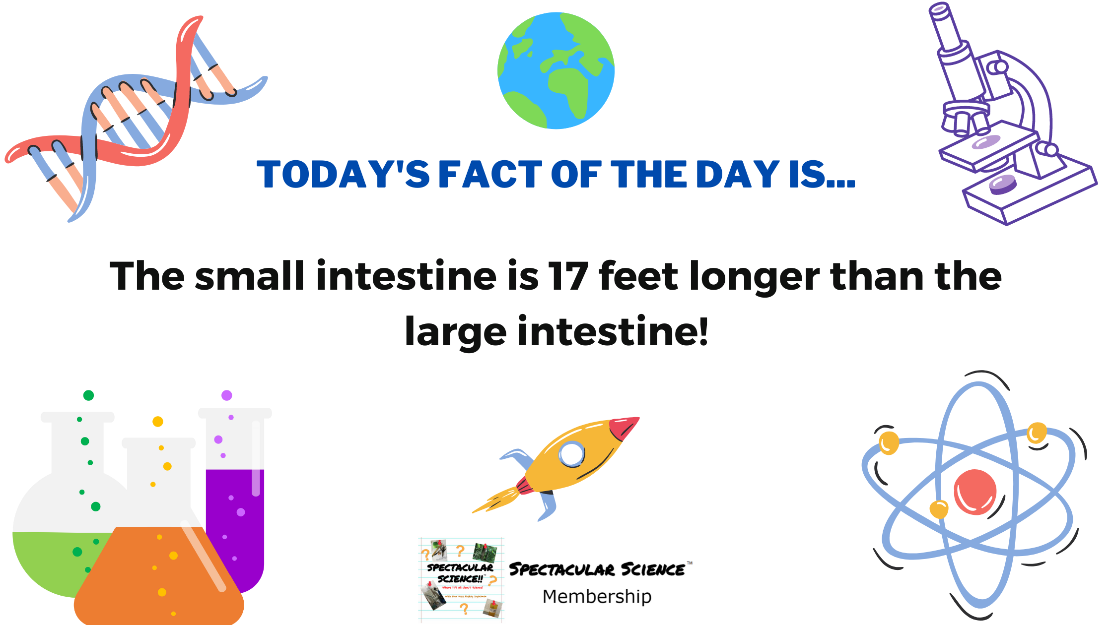 Fact of the Day Image October 14th