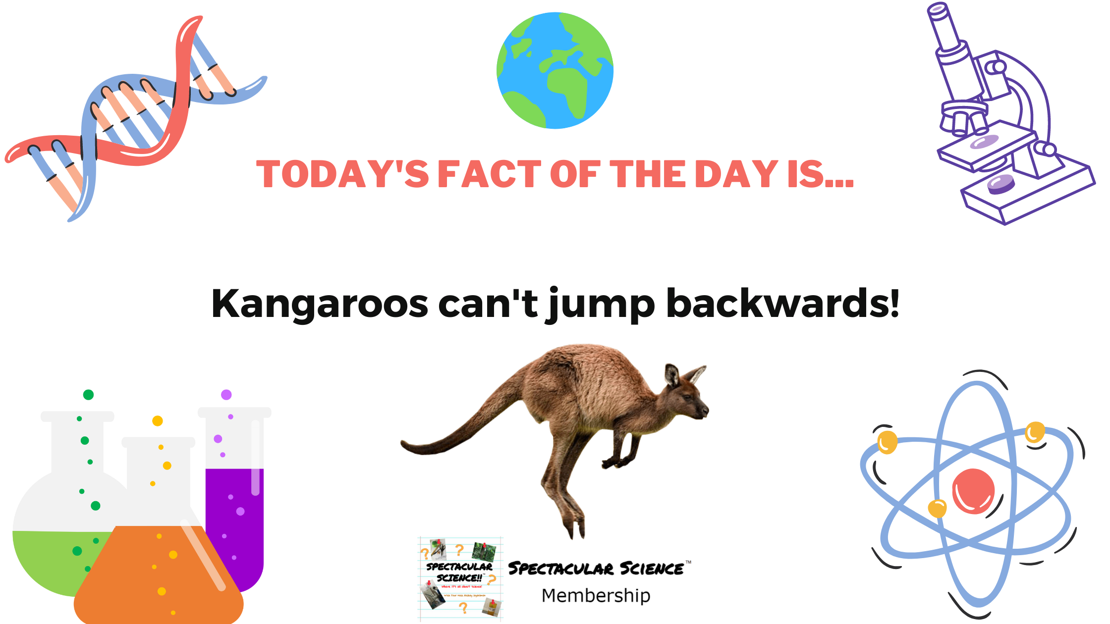 Fact of the Day Image October 15th