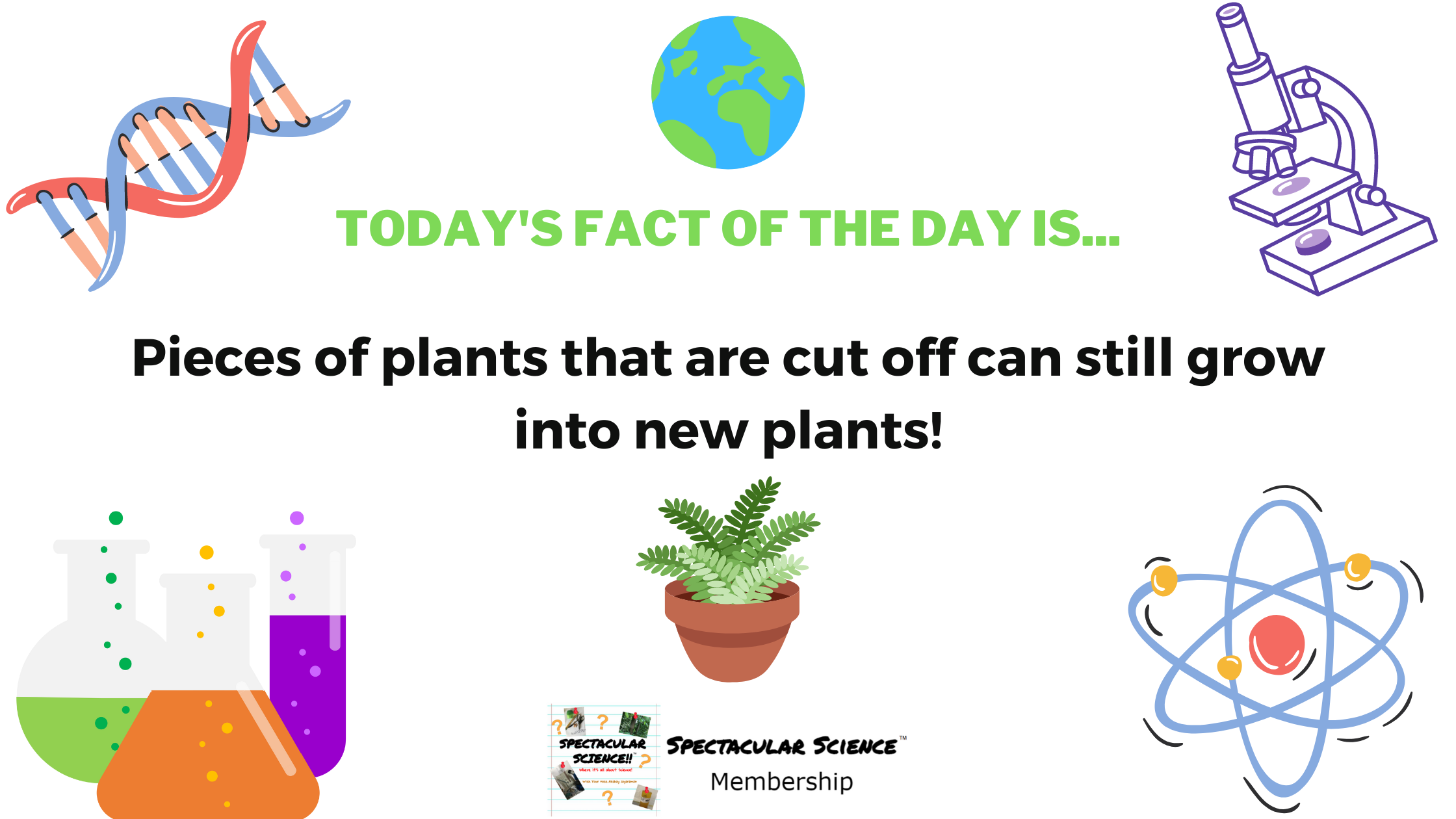 Fact of the Day Image October 26th