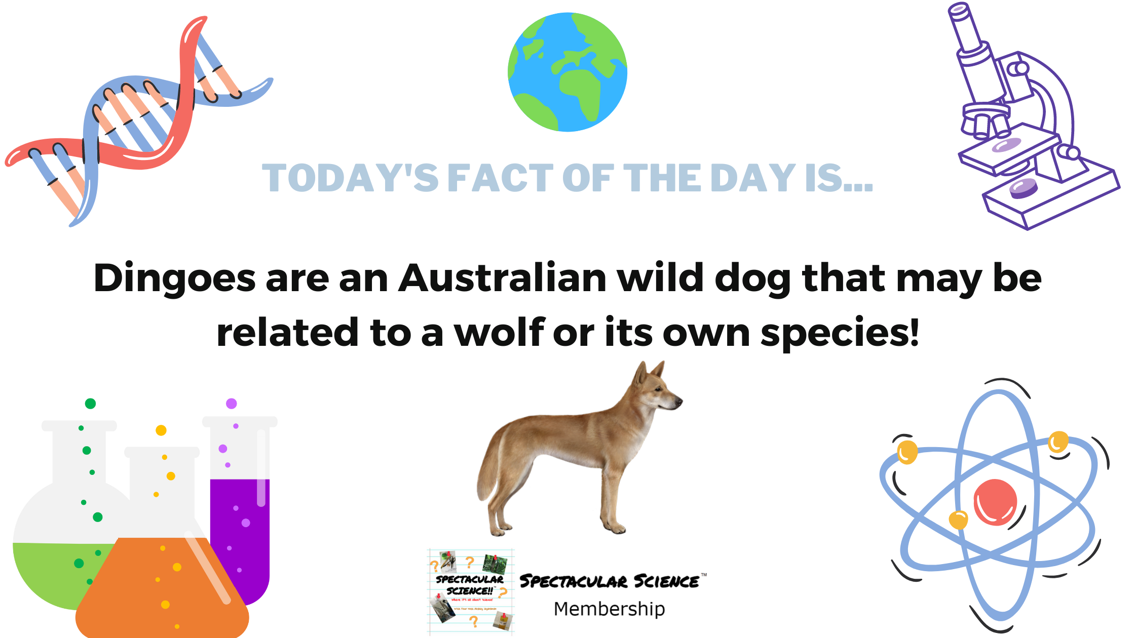 Fact of the Day Image October 3rd