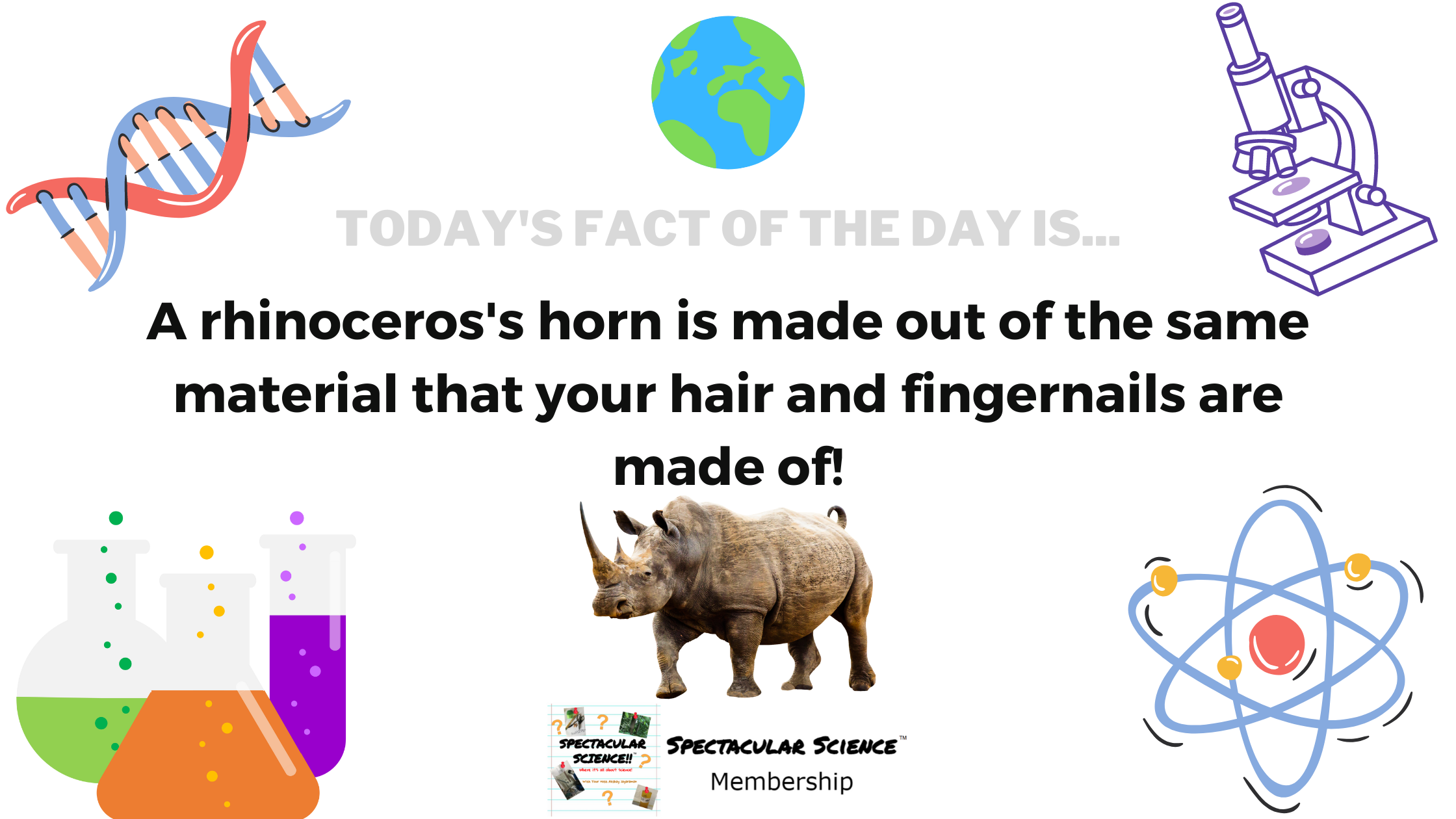 Fact of the Day Image October 31st