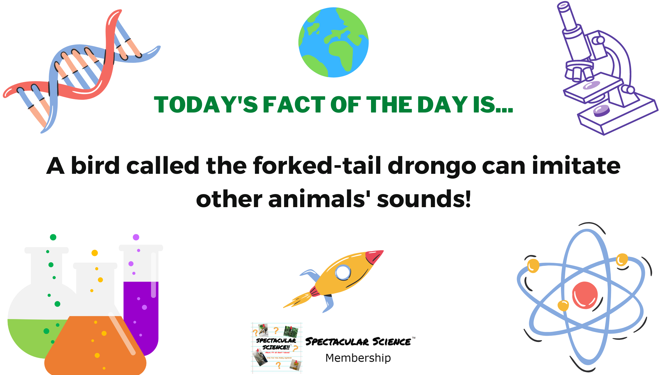 Fact of the Day Image October 7th