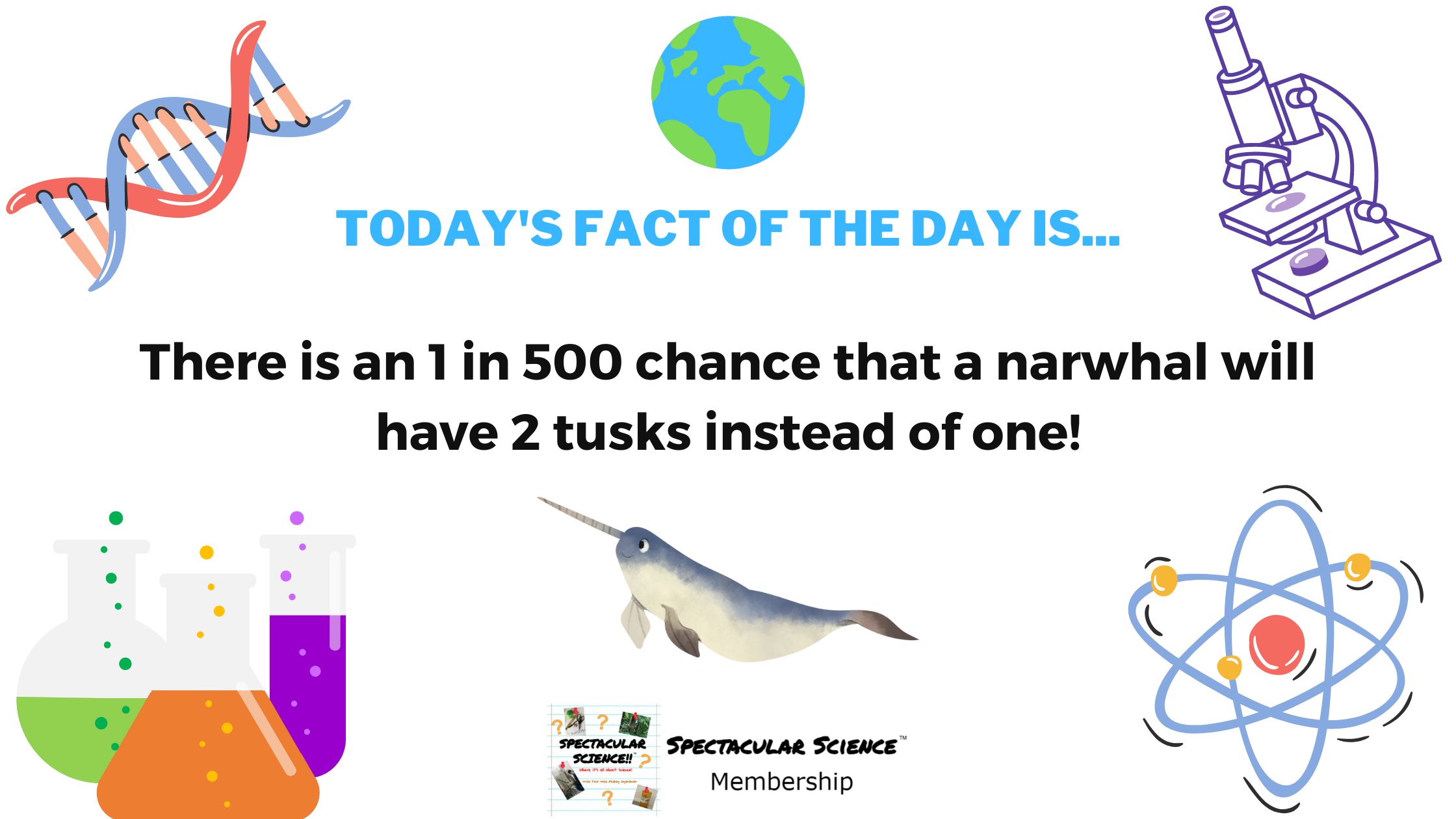 Fact of the Day Image September 14th