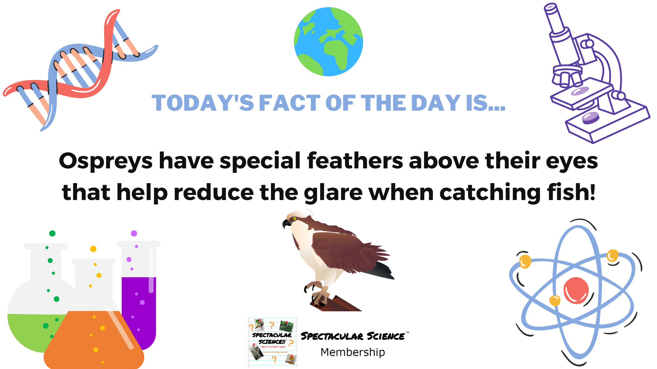 Fact of the Day Image September 23rd