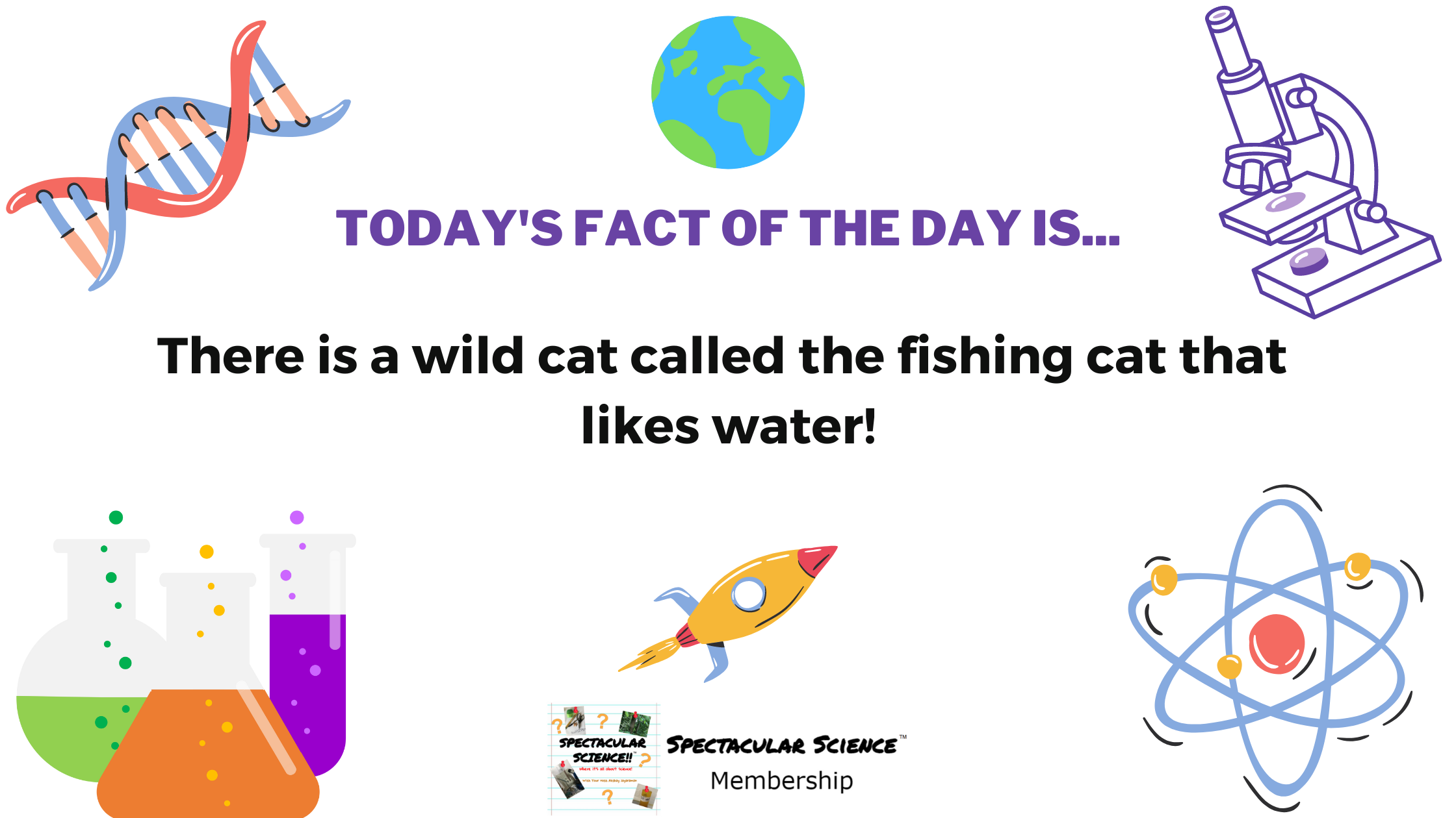 Fact of the Day Image September 24th