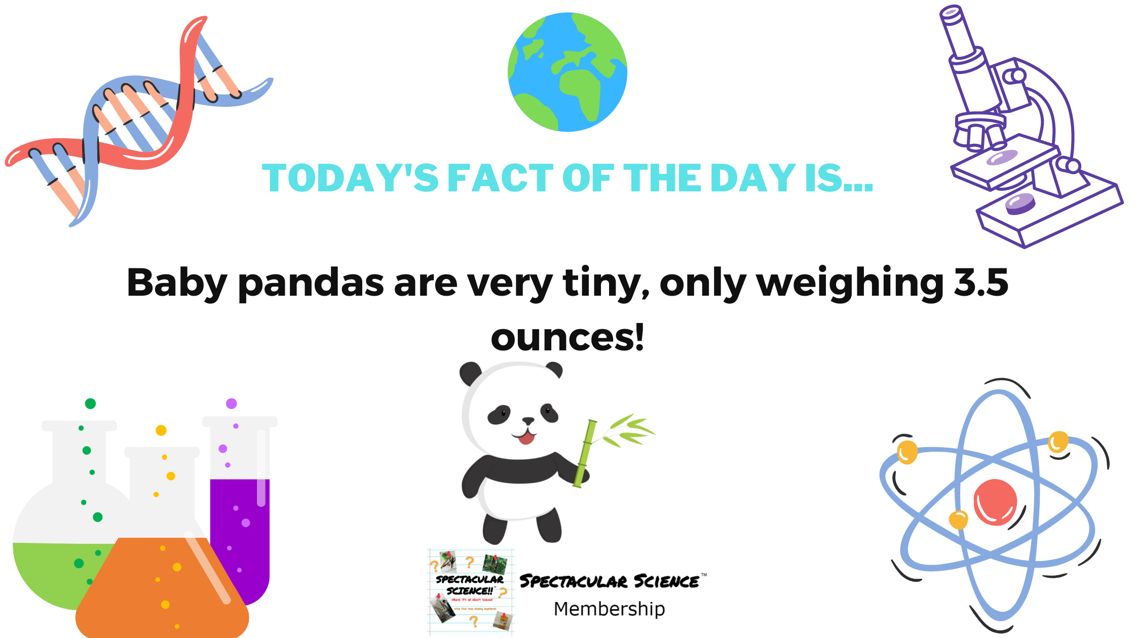 Fact of the Day Image September 4th