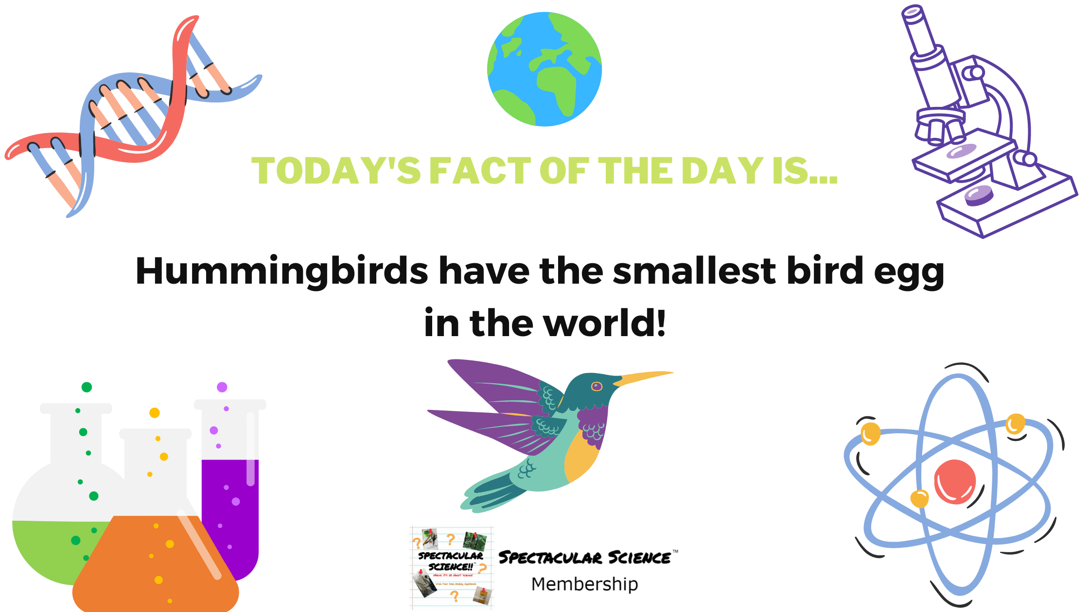 Fact of the Day Image September 5th