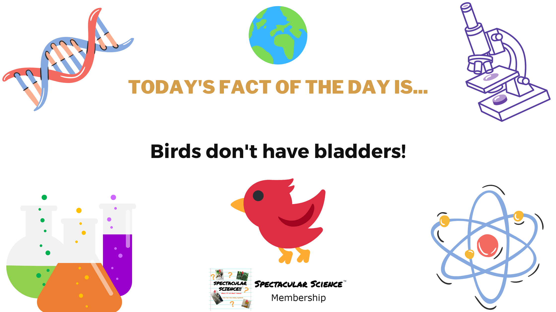 Fact of the Day Image September 6th